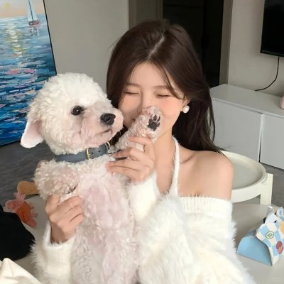 放电纽约